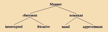 Manner features
