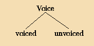 Voice feature